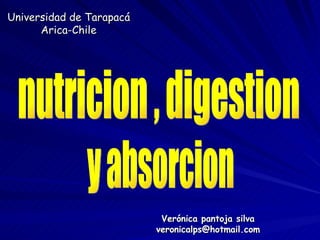 Universidad de Tarapacá Arica-Chile Verónica pantoja silva [email_address] nutricion , digestion y absorcion 