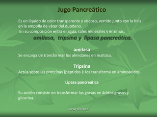 Jugo Pancreático
Es un líquido de color transparente y viscoso, vertido junto con la bilis
en la ampolla de váter del duodeno.
En su composición entra el agua, sales minerales y enzimas;

amilasa, tripsina y lipasa pancreática.
amilasa
Se encarga de transformar los almidones en maltosa.

Tripsina
Actúa sobre las proteínas (péptidos ): los transforma en aminoácidos.
Lipasa pancreática
Su acción consiste en transformar las grasas en ácidos grasos y
glicerina.
ROSSY BECERRA

 