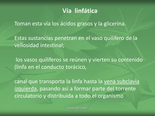 Vía linfática
Toman esta vía los ácidos grasos y la glicerina.
Estas sustancias penetran en el vaso quilífero de la
vellosidad intestinal;
los vasos quilíferos se reúnen y vierten su contenido
(linfa en el conducto torácico,

canal que transporta la linfa hasta la vena subclavia
izquierda, pasando así a formar parte del torrente
circulatorio y distribuida a todo el organismo
ROSSY BECERRA

 