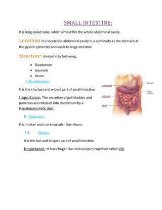 Digestive system | DOCX