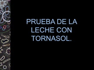 PRUEBA DE LA
LECHE CON
TORNASOL.
 