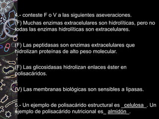 4.- conteste F o V a las siguientes aseveraciones.
(F) Muchas enzimas extracelulares son hidrolíticas, pero no
todas las enzimas hidrolíticas son extracelulares.
(F) Las peptidasas son enzimas extracelulares que
hidrolizan proteínas de alto peso molecular.
(F) Las glicosidasas hidrolizan enlaces éster en
polisacáridos.
(V) Las membranas biológicas son sensibles a lipasas.
5.- Un ejemplo de polisacárido estructural es _celulosa_. Un
ejemplo de polisacárido nutricional es_ almidón_.
 