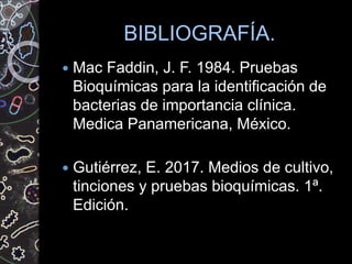 BIBLIOGRAFÍA.
 Mac Faddin, J. F. 1984. Pruebas
Bioquímicas para la identificación de
bacterias de importancia clínica.
Medica Panamericana, México.
 Gutiérrez, E. 2017. Medios de cultivo,
tinciones y pruebas bioquímicas. 1ª.
Edición.
 