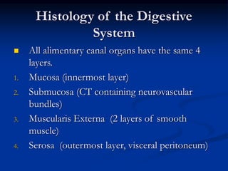Histology of the Digestive
System
 All alimentary canal organs have the same 4
layers.
1. Mucosa (innermost layer)
2. Submucosa (CT containing neurovascular
bundles)
3. Muscularis Externa (2 layers of smooth
muscle)
4. Serosa (outermost layer, visceral peritoneum)
 