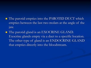  The parotid empties into the PAROTID DUCT which
empties between the last two molars at the angle of the
jaw.
 The parotid gland is an EXOCRINE GLAND.
Exocrine glands empty via a duct to a specific location.
The other type of gland is an ENDOCRINE GLAND
that empties directly into the bloodstream.
 