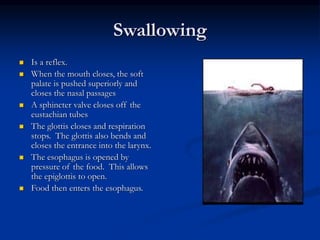 Swallowing
 Is a reflex.
 When the mouth closes, the soft
palate is pushed superiorly and
closes the nasal passages
 A sphincter valve closes off the
eustachian tubes
 The glottis closes and respiration
stops. The glottis also bends and
closes the entrance into the larynx.
 The esophagus is opened by
pressure of the food. This allows
the epiglottis to open.
 Food then enters the esophagus.
 