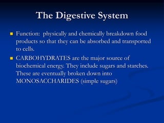 The Digestive System
 Function: physically and chemically breakdown food
products so that they can be absorbed and transported
to cells.
 CARBOHYDRATES are the major source of
biochemical energy. They include sugars and starches.
These are eventually broken down into
MONOSACCHARIDES (simple sugars)
 