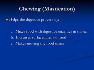 Chewing (Mastication)
 Helps the digestive process by:
a. Mixes food with digestive enzymes in saliva.
b. Increases surfaces area of food
c. Makes moving the food easier
 