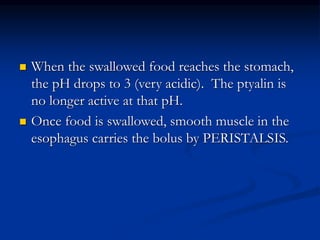  When the swallowed food reaches the stomach,
the pH drops to 3 (very acidic). The ptyalin is
no longer active at that pH.
 Once food is swallowed, smooth muscle in the
esophagus carries the bolus by PERISTALSIS.
 