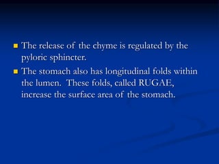  The release of the chyme is regulated by the
pyloric sphincter.
 The stomach also has longitudinal folds within
the lumen. These folds, called RUGAE,
increase the surface area of the stomach.
 