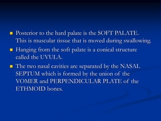  Posterior to the hard palate is the SOFT PALATE.
This is muscular tissue that is moved during swallowing.
 Hanging from the soft palate is a conical structure
called the UVULA.
 The two nasal cavities are separated by the NASAL
SEPTUM which is formed by the union of the
VOMER and PERPENDICULAR PLATE of the
ETHMOID bones.
 