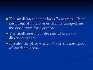  The small intestine produces 7 enzymes. There
are a total of 17 enzymes that are dumped into
the duodenum for digestion.
 The small intestine is the area where most
digestion occurs.
 It is also the place where 74% of the absorption
of nutrients occur.
 