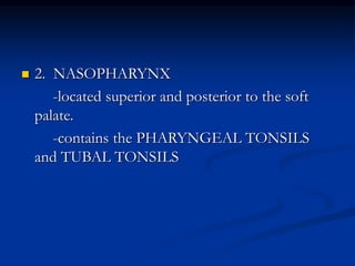  2. NASOPHARYNX
-located superior and posterior to the soft
palate.
-contains the PHARYNGEAL TONSILS
and TUBAL TONSILS
 