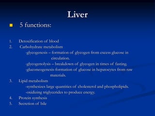Liver
 5 functions:
1. Detoxification of blood
2. Carbohydrate metabolism
-glycogenesis – formation of glycogen from excess glucose in
circulation.
-glycogenolysis – breakdown of glycogen in times of fasting.
-gluconeogenesis-formation of glucose in hepatocytes from raw
materials.
3. Lipid metabolism
-synthesizes large quantities of cholesterol and phospholipids.
-oxidizing triglycerides to produce energy.
4. Protein synthesis
5. Secretion of bile
 