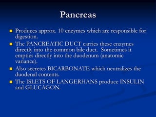 Pancreas
 Produces approx. 10 enzymes which are responsible for
digestion.
 The PANCREATIC DUCT carries these enzymes
directly into the common bile duct. Sometimes it
empties directly into the duodenum (anatomic
variance).
 Also secretes BICARBONATE which neutralizes the
duodenal contents.
 The ISLETS OF LANGERHANS produce INSULIN
and GLUCAGON.
 