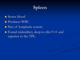 Spleen
 Stores blood
 Produces WBC
 Part of lymphatic system
 Found midaxillary, deep to ribs 9-11 and
superior to the TPL.
 