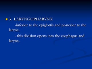  3. LARYNGOPHARYNX
-inferior to the epiglottis and posterior to the
larynx.
- this division opens into the esophagus and
larynx.
 