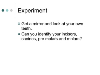 Experiment Get a mirror and look at your own teeth. Can you identify your incisors, canines, pre molars and molars? 