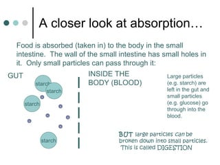 A closer look at absorption… Food is absorbed (taken in) to the body in the small intestine.  The wall of the small intestine has small holes in it.  Only small particles can pass through it: starch starch starch starch G G G GUT INSIDE THE BODY (BLOOD) Large particles (e.g. starch) are left in the gut and small particles (e.g. glucose) go through into the blood. G G G BUT  large particles  can  be broken down into small particles.  This is called DIGESTION 