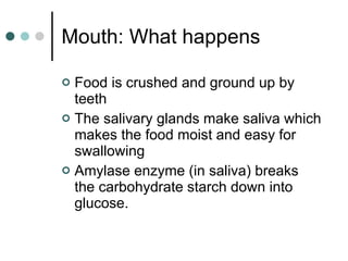 Mouth: What happens Food is crushed and ground up by teeth The salivary glands make saliva which makes the food moist and easy for swallowing Amylase enzyme (in saliva) breaks the carbohydrate starch down into glucose. 