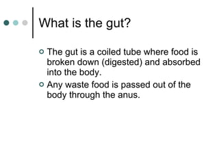 What is the gut? The gut is a coiled tube where food is broken down (digested) and absorbed into the body. Any waste food is passed out of the body through the anus. 