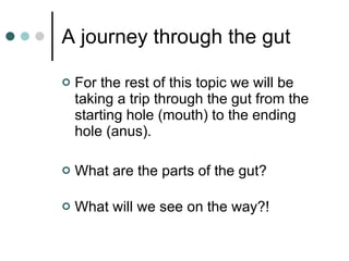 A journey through the gut For the rest of this topic we will be taking a trip through the gut from the starting hole (mouth) to the ending hole (anus). What are the parts of the gut? What will we see on the way?! 