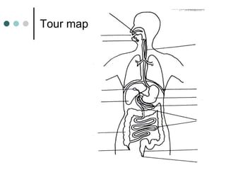 Tour map 