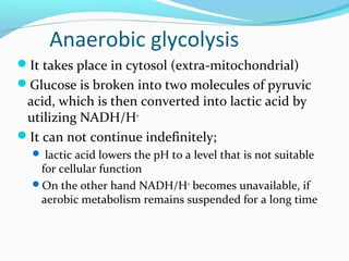 Anaerobic glycolysis
It takes place in cytosol (extra-mitochondrial)
Glucose is broken into two molecules of pyruvic
acid, which is then converted into lactic acid by
utilizing NADH/H+
It can not continue indefinitely;
 lactic acid lowers the pH to a level that is not suitable
for cellular function
On the other hand NADH/H+
becomes unavailable, if
aerobic metabolism remains suspended for a long time
 