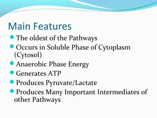 Main Features
The oldest of the Pathways
Occurs in Soluble Phase of Cytoplasm
(Cytosol)
Anaerobic Phase Energy
Generates ATP
Produces Pyruvate/Lactate
Produces Many Important Intermediates of
other Pathways
 