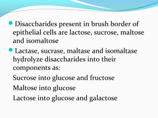 Disaccharides present in brush border of
epithelial cells are lactose, sucrose, maltose
and isomaltose
Lactase, sucrase, maltase and isomaltase
hydrolyze disaccharides into their
components as:
Sucrose into glucose and fructose
Maltose into glucose
Lactose into glucose and galactose
 
