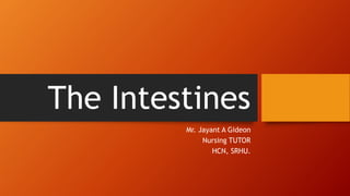 The Intestines
Mr. Jayant A Gideon
Nursing TUTOR
HCN, SRHU.
 