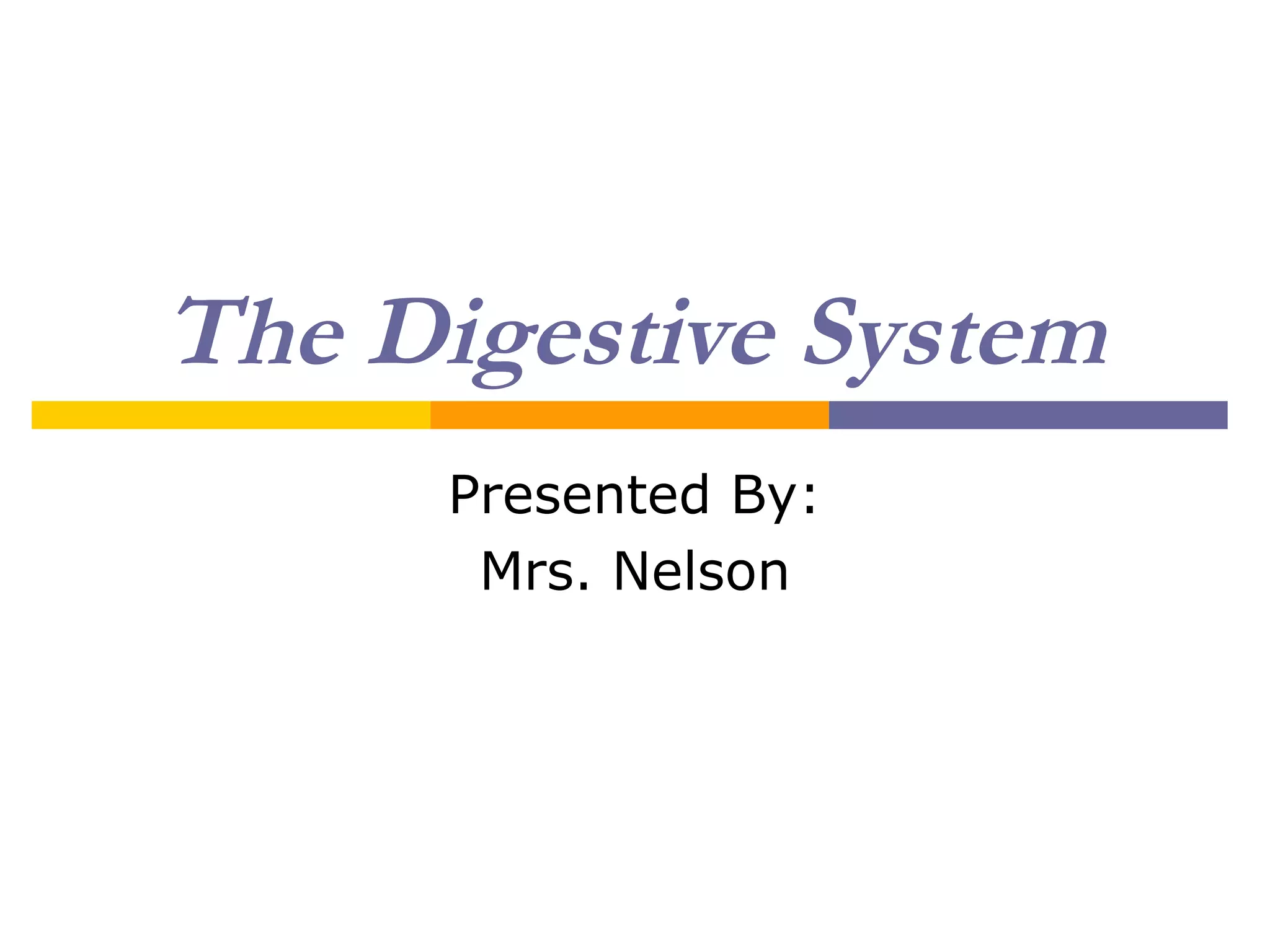 The Digestive System
Presented By:
Mrs. Nelson
 