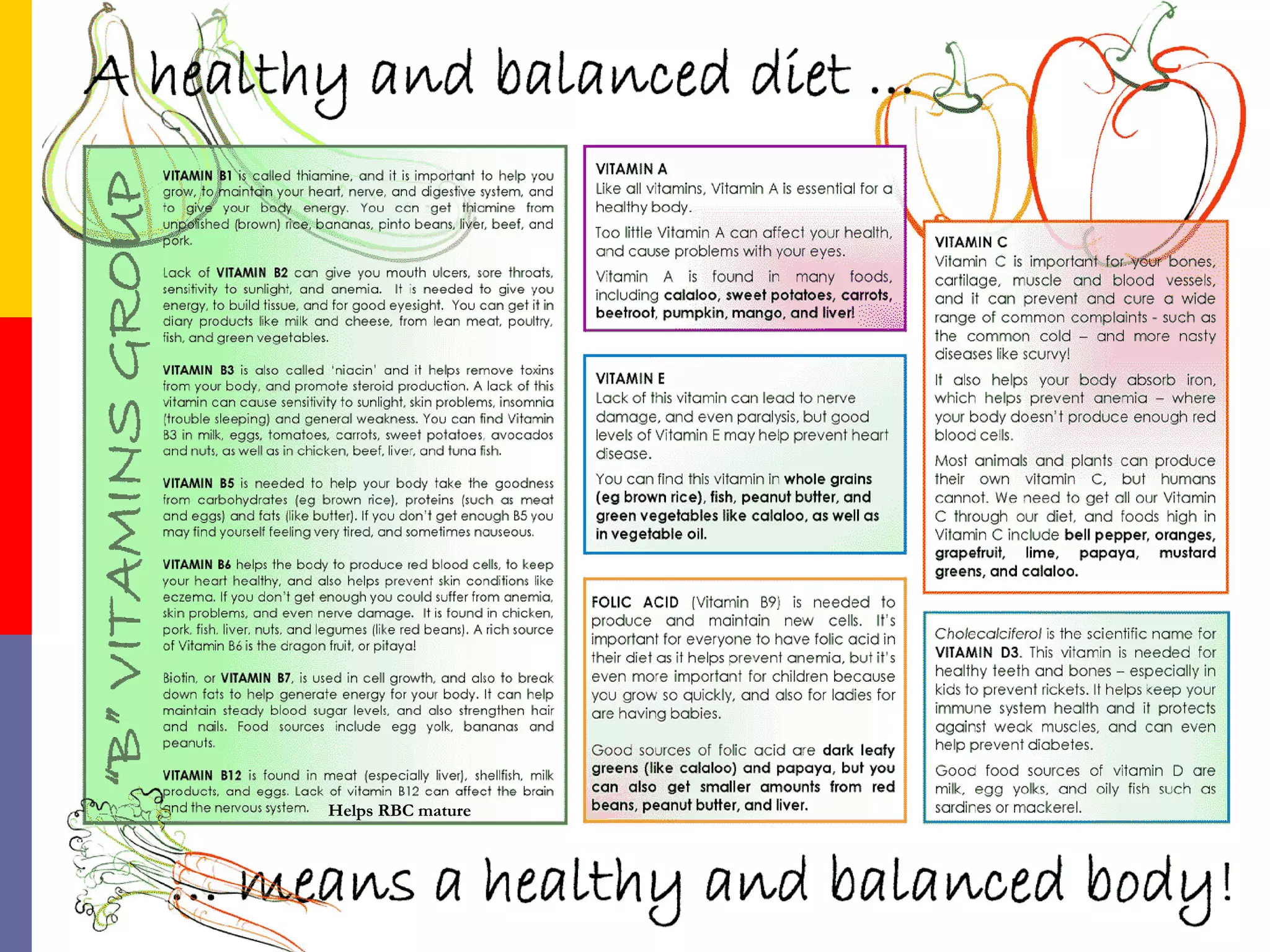 Importance of Various Vitamins
 A, C, D, E, K, Folic Acid, B12
Helps RBC mature
 