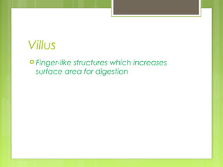 Villus
 Finger-like
            structures which increases
  surface area for digestion
 