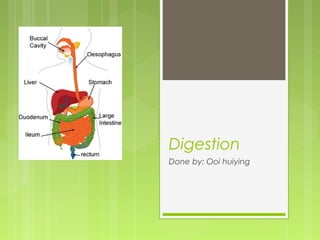 Digestion
Done by: Ooi huiying
 