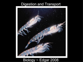 Digestion and Transport Biology ~ Edgar 2008 