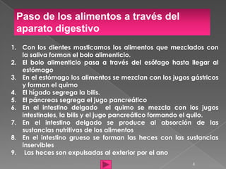 Paso de los alimentos a través del
 aparato digestivo
1. Con los dientes masticamos los alimentos que mezclados con
   la saliva forman el bolo alimenticio.
2. El bolo alimenticio pasa a través del esófago hasta llegar al
   estómago
3. En el estómago los alimentos se mezclan con los jugos gástricos
   y forman el quimo
4. El hígado segrega la bilis.
5. El páncreas segrega el jugo pancreático
6. En el intestino delgado el quimo se mezcla con los jugos
   intestinales, la bilis y el jugo pancreático formando el quilo.
7. En el intestino delgado se produce al absorción de las
   sustancias nutritivas de los alimentos
8. En el intestino grueso se forman las heces con las sustancias
   inservibles
9. Las heces son expulsadas al exterior por el ano
                                                         6
 