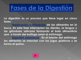 La digestión es un proceso que tiene lugar en cinco
fases:
       Masticación o trituración de los alimentos en la
boca. En esta fase intervienen los dientes, la lengua y
las glándulas salivares formando el bolo alimenticio
que a través del esófago pasa al estómago.
       Digestión estomacal . En el interior del estómago
los alimentos se mezclan con los jugos gástricos y se
forma el quimo.




                                                 8
 