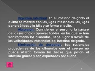 Digestión intestinal. En el intestino delgado el
quimo se mezcla con los jugos intestinales, los jugos
pancreáticos y la bilis y se forma el quilo.
       Absorción. Consiste en el paso a la sangre
de las sustancias aprovechables en las que se han
transformado los alimentos. Tiene lugar a través de
las vellosidades intestinales del intestino delgado.
       Eliminación de desechos. Las sustancias
procedentes de los alimentos que el cuerpo no
puede utilizar, forman las heces que pasan al
intestino grueso y son expulsadas por el ano.


                                                 9
 