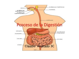 Proceso de la Digestión



    Claudio Alvarado 3C
 