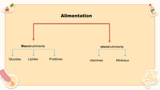 Alimentation
Macronutriments micronutriments
vitamines Minéraux
Lipides
Glucides Protéines
 