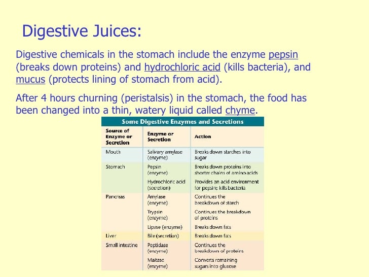 Digestion