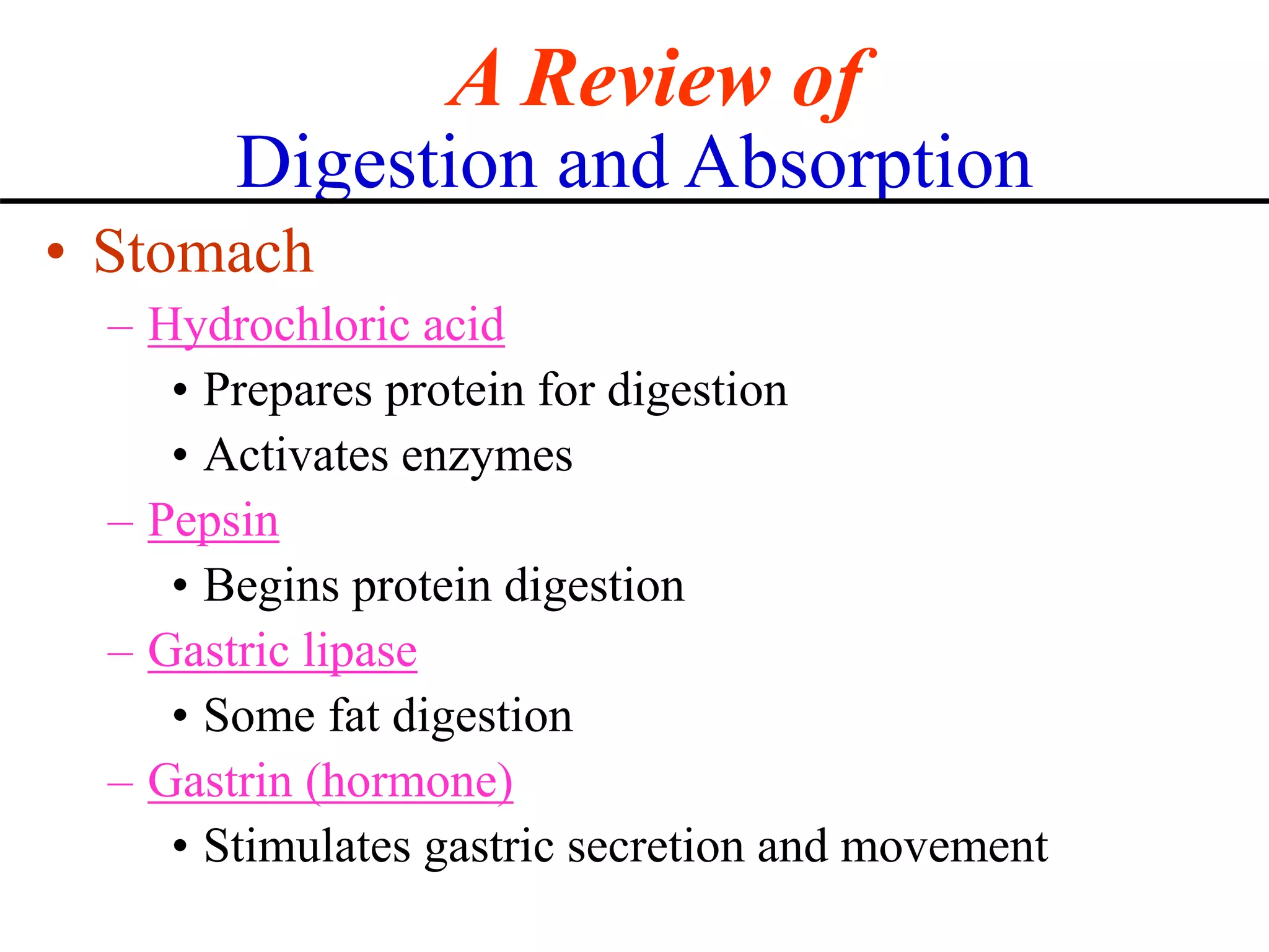 Digestion2.ppt