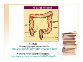 You tube –  Slow emptying of viscous meal – http://www.youtube.com/watch?v=QDrzs1bZSWI   Vomiting reverse giant contractions -  http://www.youtube.com/watch?v=f6y5SykbqJE&   