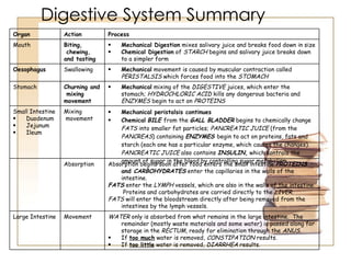 Digestive System Summary Organ Action Process Mouth Biting, chewing,  and tasting Mechanical Digestion  mixes salivary juice and breaks food down in size Chemical Digestion  of  STARCH  begins and salivary juice breaks down to a simpler form Oesophagus Swallowing Mechanical  movement is caused by muscular contraction called  PERISTALSIS  which forces food into the  STOMACH Stomach Churning and mixing  movement Mechanical  mixing of the  DIGESTIVE  juices, which enter the stomach;  HYDROCHLORIC ACID  kills any dangerous bacteria and  ENZYMES  begin to act on  PROTEINS Small Intestine Duodenum Jejunum Ileum Mixing movement Mechanical peristalsis continues Chemical   BILE   from the  GALL   BLADDER  begins to chemically change  FATS  into smaller fat particles;  PANCREATIC   JUICE  (from the  PANCREAS ) containing  ENZYMES   begin to act on proteins, fats and starch (each one has a particular enzyme, which causes the changes).  PANCREATIC JUICE  also contains  INSULIN ,  which controls the amount of sugar in the blood by controlling sugar metabolism. Absorption Absorption begins soon after food enters the small intestine  PROTEINS  and  CARBOHYDRATES  enter the capillaries in the walls of the intestine. FATS  enter the  LYMPH  vessels, which are also in the walls of the intestine.  Proteins and carbohydrates are carried directly to the  LIVER . FATS  will enter the bloodstream directly after being removed from the intestines by the lymph vessels. Large Intestine Movement WATER  only is absorbed from what remains in the large intestine.  The remainder (mostly waste materials and some water) is passed along for storage in the  RECTUM , ready for elimination through the  ANUS . If  too much  water is removed,  CONSTIPATION  results. If  too little  water is removed,  DIARRHEA  results. 