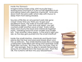 Inside the Stomach Imagine being inside a big, pink muscular bag – sloshing back and forth in a sea of half digested mush and being mixed with digestive chemicals.  Acid rains down from the pink walls, which drip with mucus to deep them from being eroded. Sounds a little like an amusement park ride gone crazy?  Every time you think you’ve got your equilibrium back, the walls of muscles fold in on themselves again.  Over and over again, you get crushed under another wave of slop.  Every wave mixes and churns the food and chemicals together more – breaking food into even smaller and smaller bits.  Then another valve opens.  Is the end in sight you ask, as the slop gets pushed into the  small intestine ? Inside the small intestine, chemicals and liquids from places like the liver and pancreas break down and mix up leftovers.  The small intestine looks like a strange underwater world filled with things that resemble small finger like cactuses.  But they’re not cactuses, they’re  villi .  Like sponges, they’re able to absorb tremendous amounts of nutrients from the food you eat.  From the villi, the nutrients will flow into your bloodstream. 