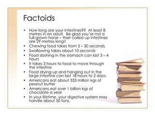 Factoids How long are your intestines??  At least 8 metres in an adult.  Be glad you’re not a full-grown horse – their coiled up intestines are 29 metres long!! Chewing food takes from 5 – 30 seconds Swallowing takes about 10 seconds Food sloshing in the stomach can last 3 – 4 hours It takes 3 hours to food to move through the intestine Food drying up and hanging out in the large intestine can last 18 hours to 2 days. Americans eat about 333 million kgs of peanut butter  Americans eat over 1 billion kgs of chocolate a year In your lifetime, your digestive system may handle about 50 tons. 