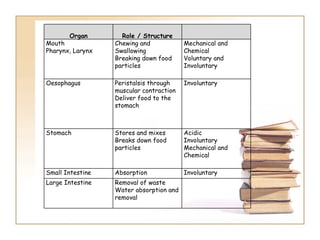 Organ Role / Structure Mouth Pharynx, Larynx Chewing and Swallowing Breaking down food particles Mechanical and Chemical Voluntary and Involuntary Oesophagus Peristalsis through muscular contraction Deliver food to the stomach Involuntary Stomach Stores and mixes Breaks down food particles Acidic Involuntary  Mechanical and Chemical Small Intestine Absorption Involuntary Large Intestine Removal of waste Water absorption and removal 