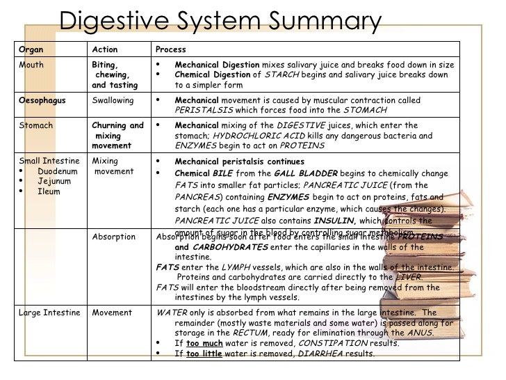 Digestion 2011