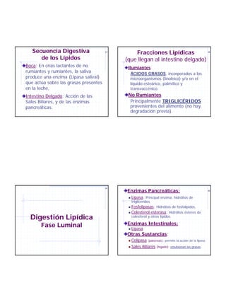 Secuencia Digestiva                 37
                                                Fracciones Lipídicas                                  38


      de los Lípidos                        (que llegan al intestino delgado)
Boca: En crías lactantes de no               Rumiantes
rumiantes y rumiantes, la saliva              ÁCIDOS GRASOS, incorporados a los
produce una enzima (Lipasa salival)           microorganismos (linoleico) y/o en el
que actúa sobre las grasas presentes          líquido esteárico, palmítico y
en la leche,                                  transvaccénico.
Intestino Delgado: Acción de las             No Rumiantes
Sales Biliares, y de las enzimas              Principalmente TRIGLICÉRIDOS
pancreáticas.                                 provenientes del alimento (no hay
                                              degradación previa).




                                       39
                                            Enzimas Pancreáticas:                                     40



                                             !   Lipasa: Principal enzima, hidrólisis de
                                                 triglicéridos
                                             ! Fosfolipasas: Hidrólisis de fosfolípidos.
                                             ! Colesterol esterasa: Hidrólisis ésteres de

  Digestión Lipídica                             colesterol y otros lípidos.

       Fase Luminal                         Enzimas Intestinales:
                                             !   Lipasa
                                            Otras Sustancias:
                                             ! Colipasa (páncreas): permite la acción de la lipasa.
                                             ! Sales Biliares (hígado): emulsionan las grasas.
 